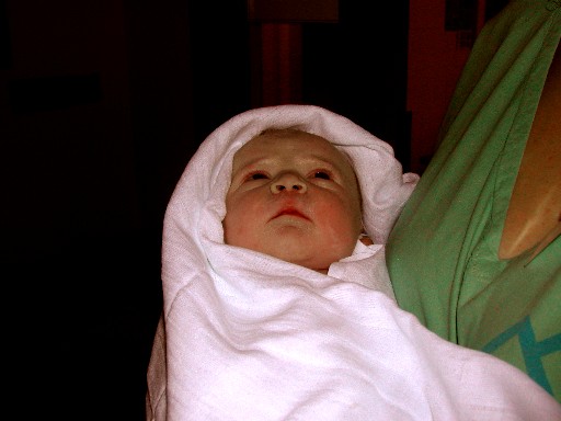 A01.jpg (36487 bytes)