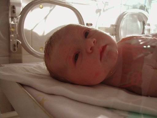 A03.jpg (37833 bytes)