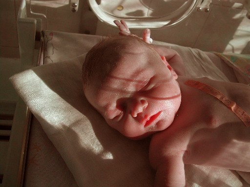 A04.jpg (46256 bytes)