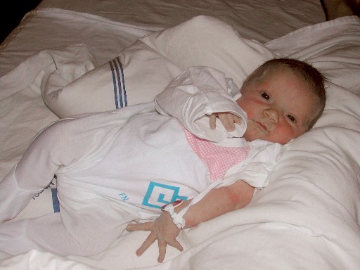 A08.jpg (46271 bytes)