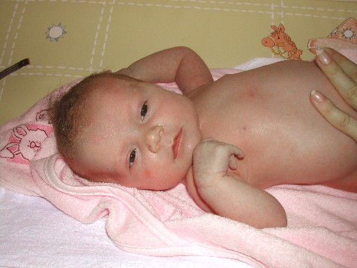 A12.jpg (53087 bytes)