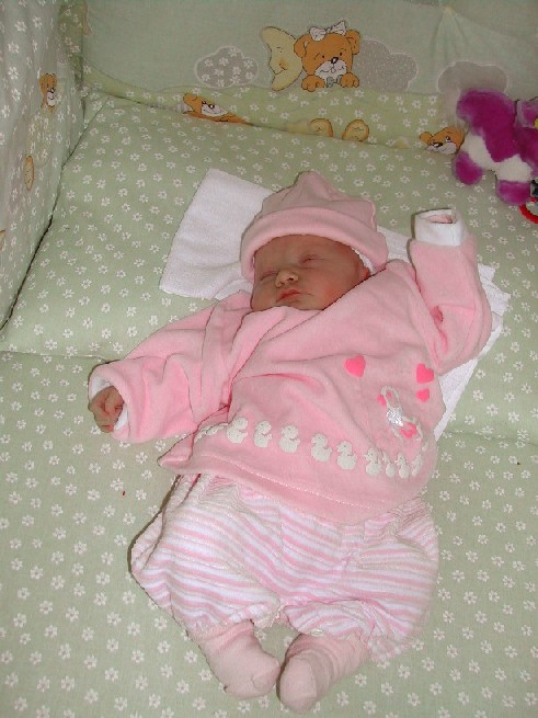 A13.jpg (87713 bytes)