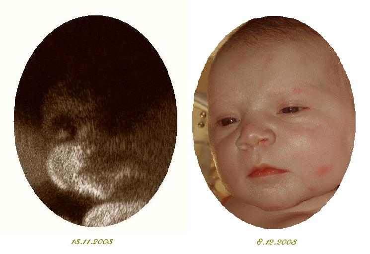 UZ2.jpg (40250 bytes)