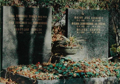 HrobBoucekSchnirch2.jpg (98960 bytes)