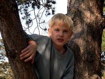 PayneDavid2.jpg (17686 bytes)