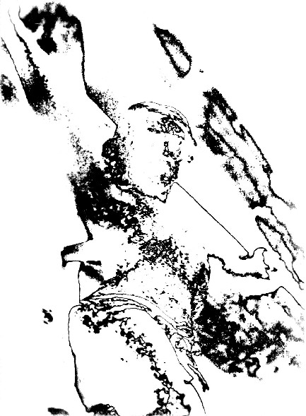 h15.jpg (26911 bytes)